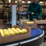 Why Should You Join A Managed Produce Program?