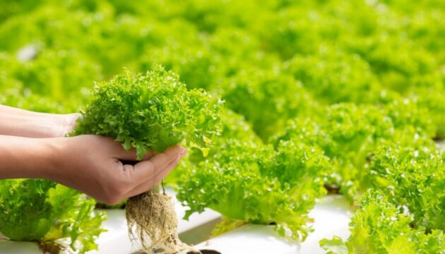 Feature-Imageseptember2-1024×585