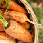 The Importance of Traceability in Foodservice